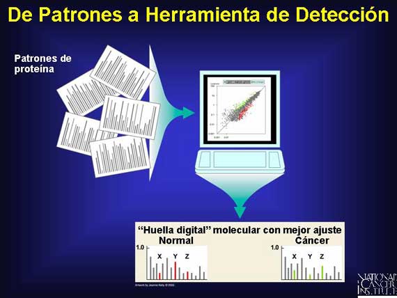 De Patrones a Herramienta de Detección