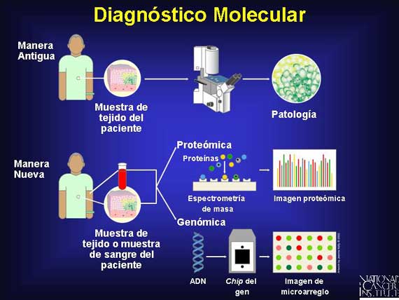 Diagnóstico Molecular