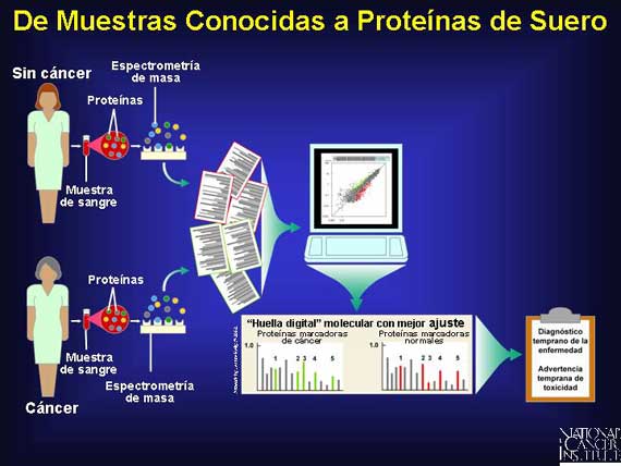 De Muestras Conocidas a Proteínas de Suero