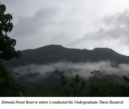 Uromi Goodale, Delwala Forest Reserve where I conducted the Undergraduate Thesis Research