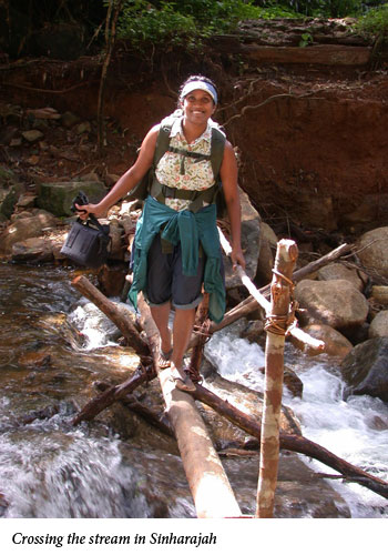 Uromi Goodale, Crossing the stream in Sinharajah