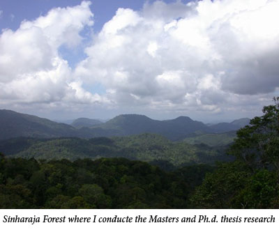 Uromi Goodale, Sinharaja Forest where I conducte the Masters and Ph.d. thesis research