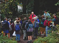 Egon Horak, a Swiss mycologist, leading a workshop on collection, description, and identification of mushrooms. (photo Peter Buchanan) 