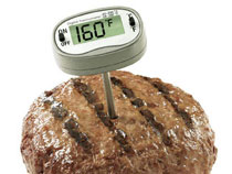 thermometer in food
