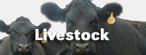 Livestock Resources