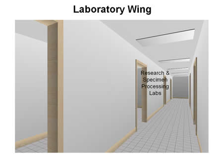 Laboratory Wing