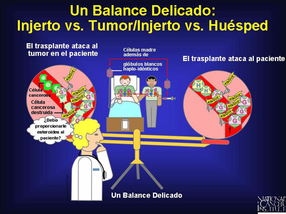 Un Balance Delicado: Injerto vs. Tumor/Injerto vs. Huésped