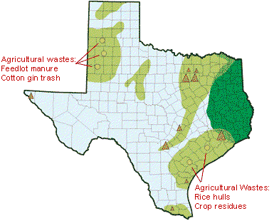 Texas Biomass: Major Resource Areas