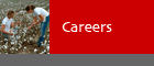 Careers