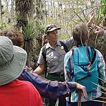 Ranger with visitors on swamp walk.