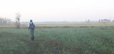 Hiking along the Florida National Scenic Trail in Big Cypress National Preserve.