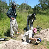 Soil Science