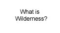 What is Wilderness