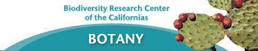 SDNHM Biodiversity Research Center of the Californias: Botany Department