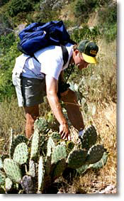 Jon Rebman and cactus, photo by Pamela Hartwell.