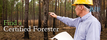 Find a Certified Forester