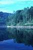 Paintsville Lake Photos - psummr8.jpg