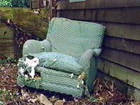 Discarde sofa chair