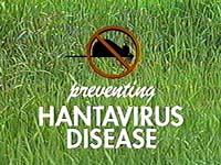Preventing Hantavirus Disease