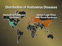 World map showing various Hantavirus Diseases