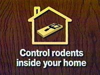 'Control rodents inside your home'
