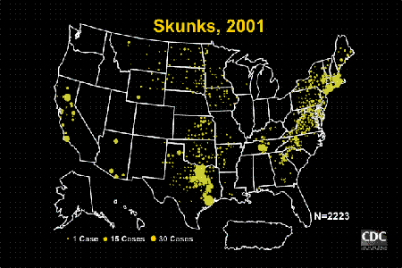 US map showing distribution of rabies cases in skunks, 2001