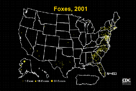US map showing distribution of rabies cases in foxes, 2001