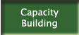 Capacity Building