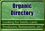 onlinedirectory