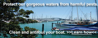 Protect our gorgeous waters from harmful pests. Clean and antifoul your boat. 