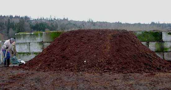 Manure pile