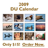 Ducks Unlimited Calendar