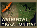 DU Waterfowl Migration Map