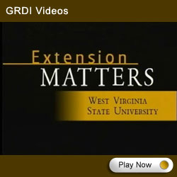 GRDI Videos