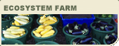 Ecosystem Farm