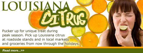 Louisiana Citrus