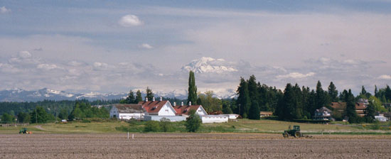 Photo WSU Puyallup Research Station