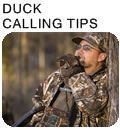 Duck Calling Tips