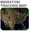 Migration Map: Track the ducks this year.