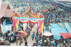 Elephant festival in Laos