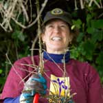 Find out how to volunteer for Golden Gate National Parks.