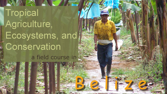 A field course in Belize