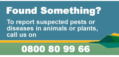 Found Something? - To report suspected pests or diseases in animals or plants, call us on 0800 80 99 66