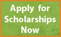 Apply for Scholarships