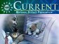 NSF Current, April 2006 Edition