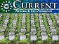 NSF Current, May 2008 Edition