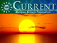 NSF Current, September 2008 Edition
