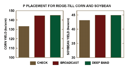 Phosphorus placement effect