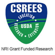 CSREES Logo