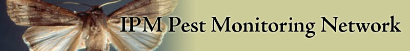 Pest Monitoring